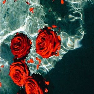 Meet your Posher, Kristana